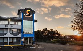 Comfort Suites Kingston Central